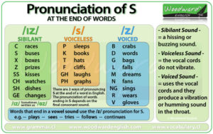 Pronunciation of Final -S Plural | Nouns and Verbs in Third Person ...