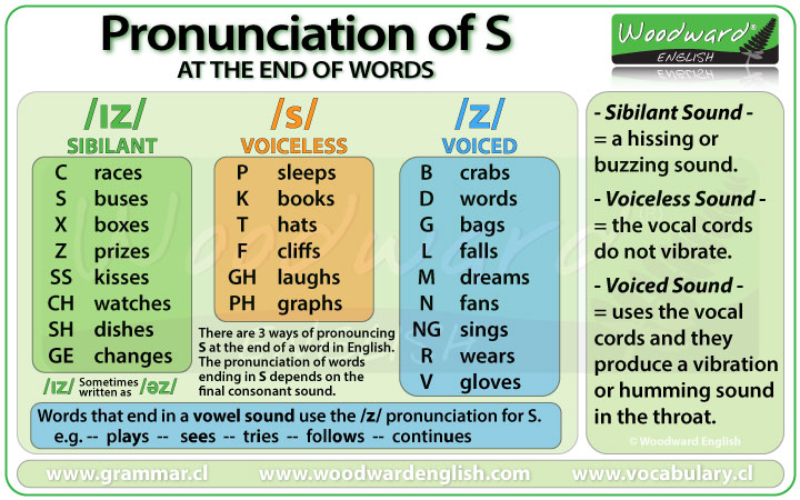 Pronunciation Of Final S Plural Nouns And Verbs In Third Person 